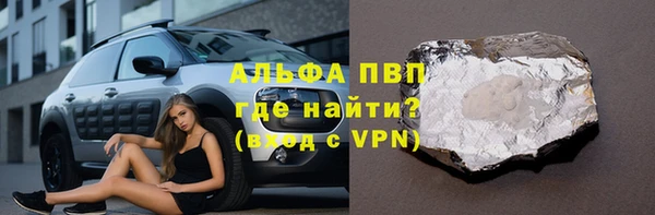 крисы Баксан