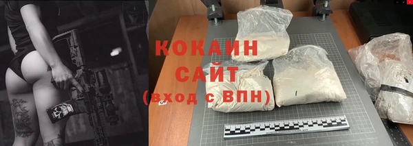 крисы Баксан