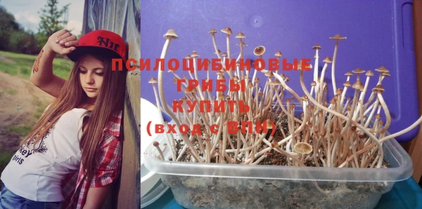 кокаин перу Белокуриха