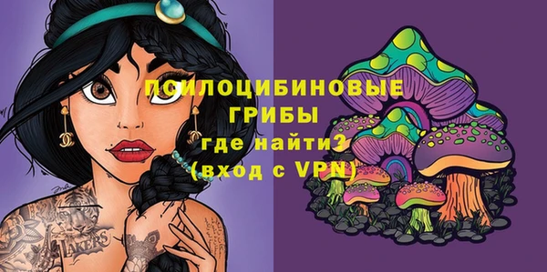 прущий лед Белоозёрский